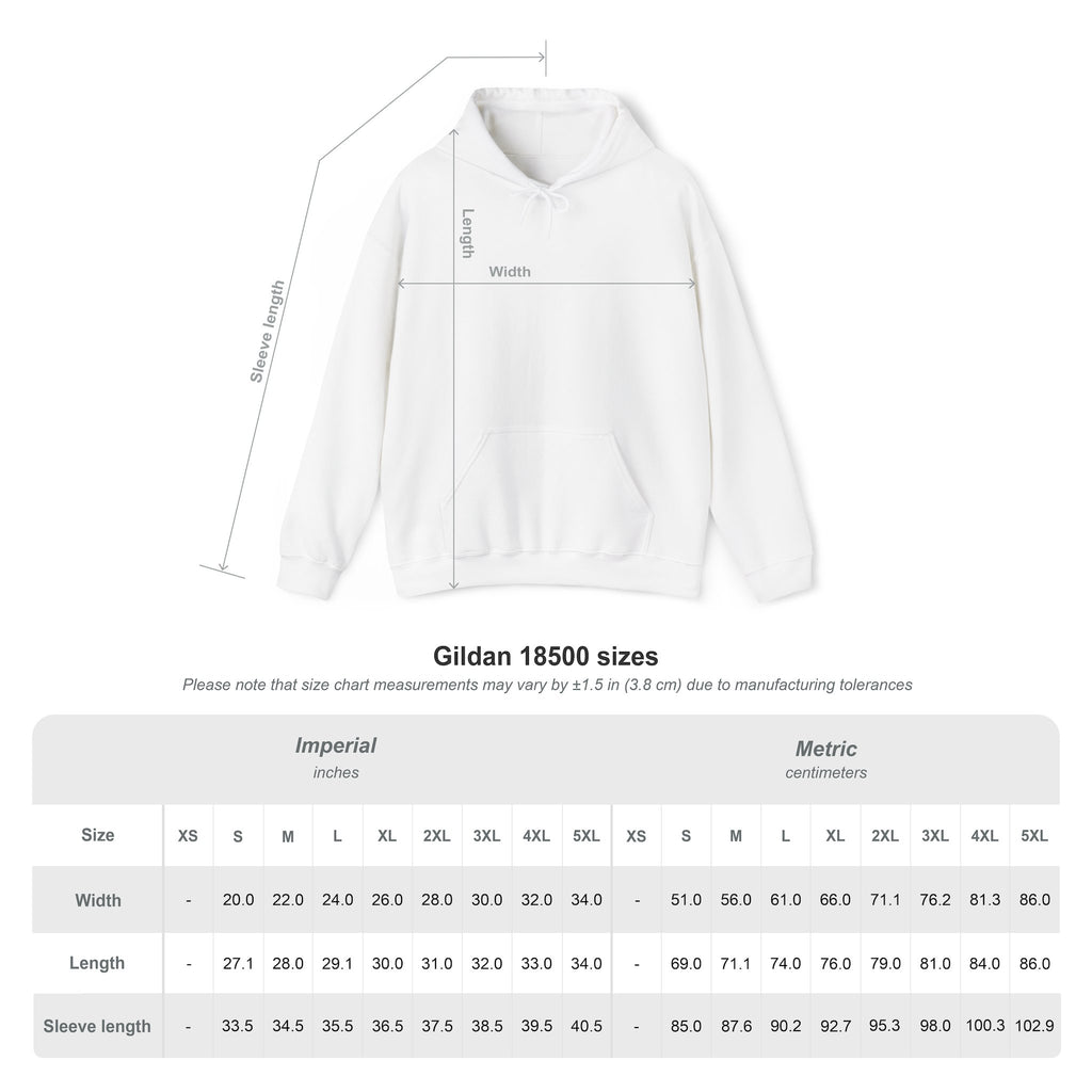 Jeremiah 29:11 Hoodie